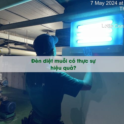 Đèn bắt muỗi có thực sự hiệu quả?