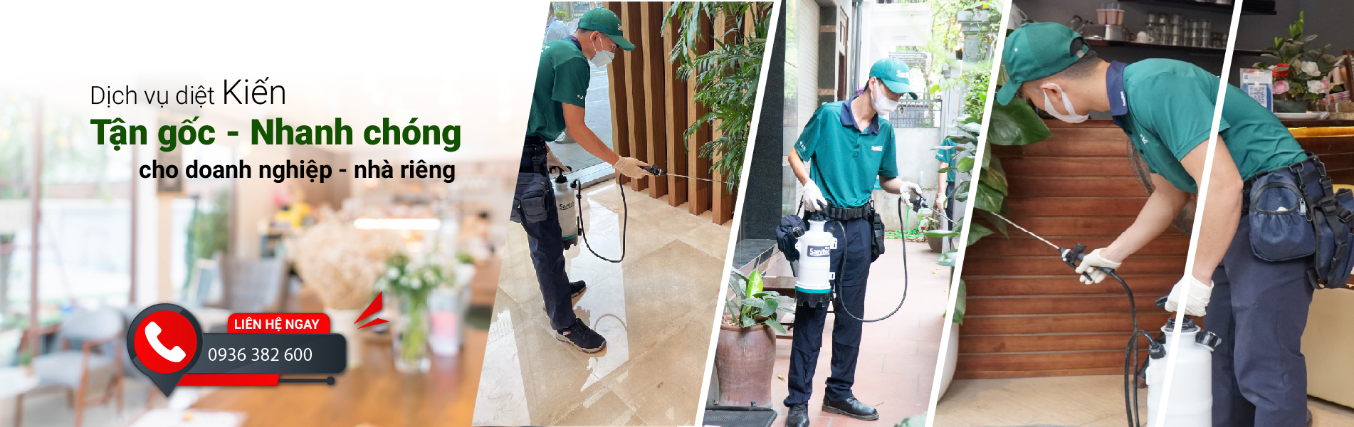 Dịch vụ diệt Kiến