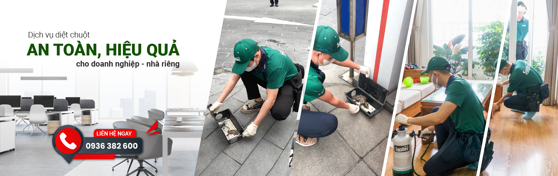Dịch vụ diệt Chuột