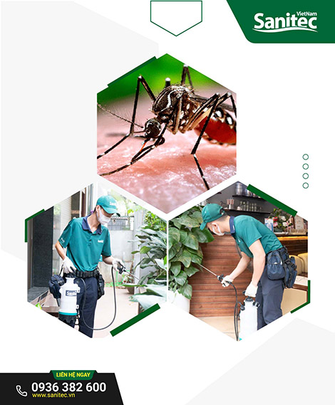 Dịch vụ diệt Muỗi